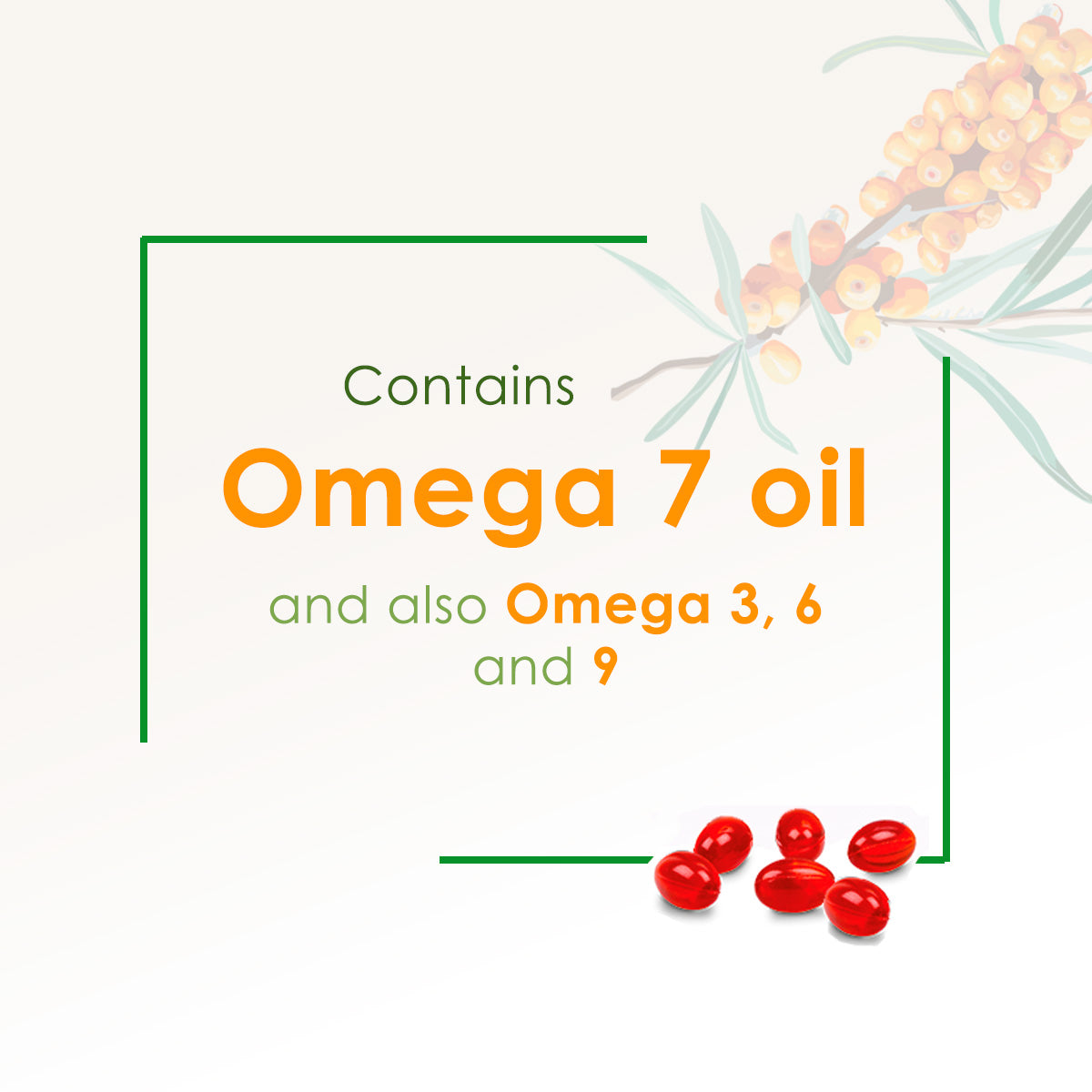 Pharma Nord Bioactive Omega 7