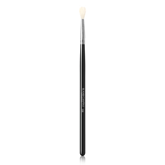 Blank Canvas E10 Eye Brush