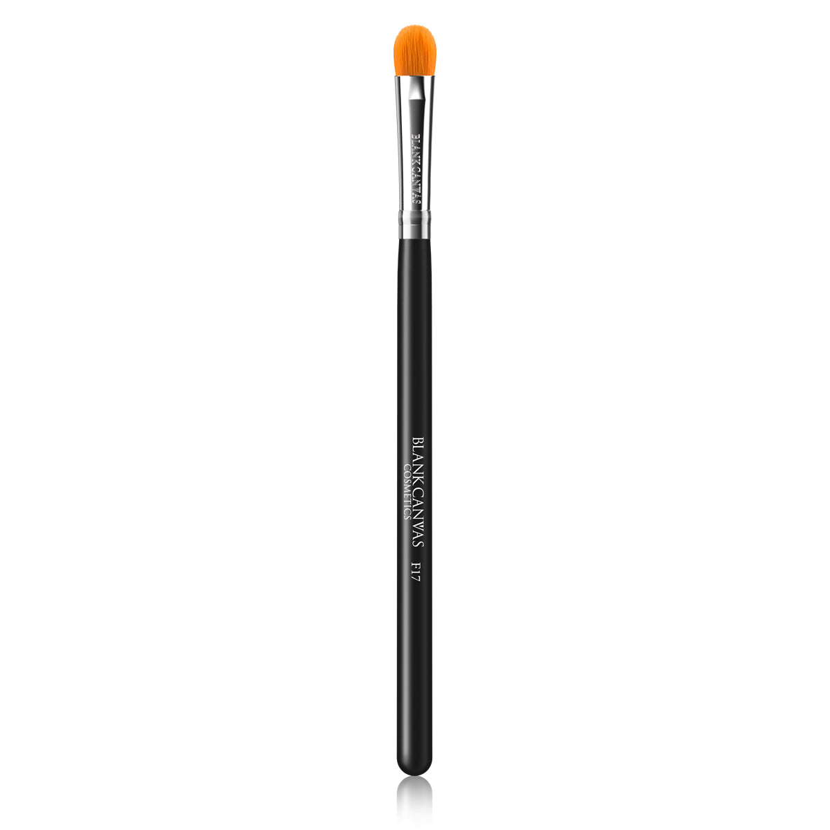 Blank Canvas F17 Brush