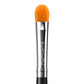 Blank Canvas F17 Brush